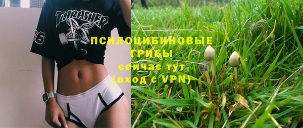 кокс Арсеньев