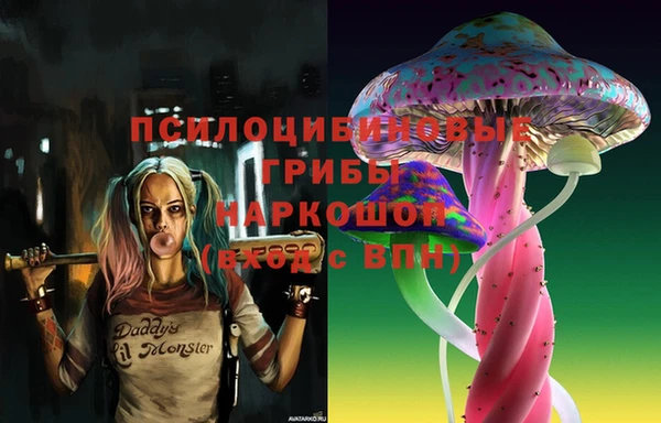 прущая мука Медвежьегорск